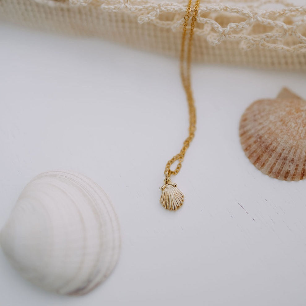 Sea Shell Necklace - WonderingCloth