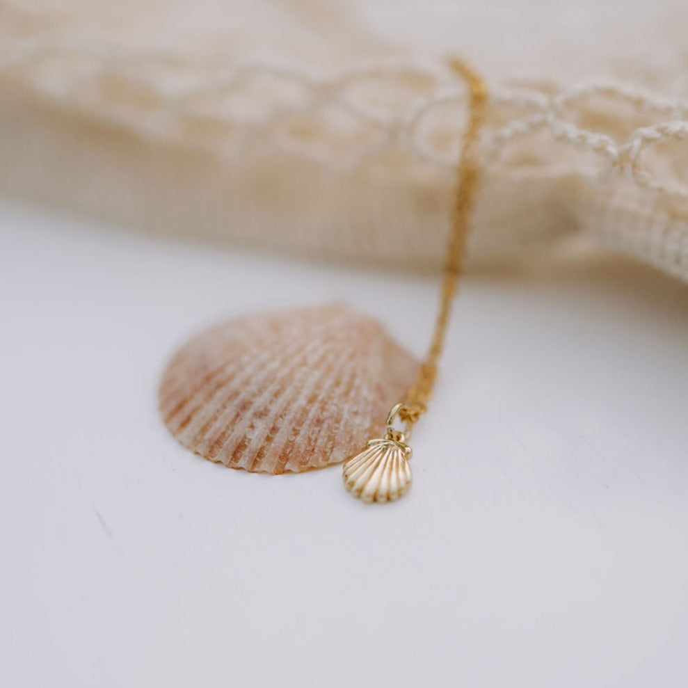 Sea Shell Necklace - WonderingCloth