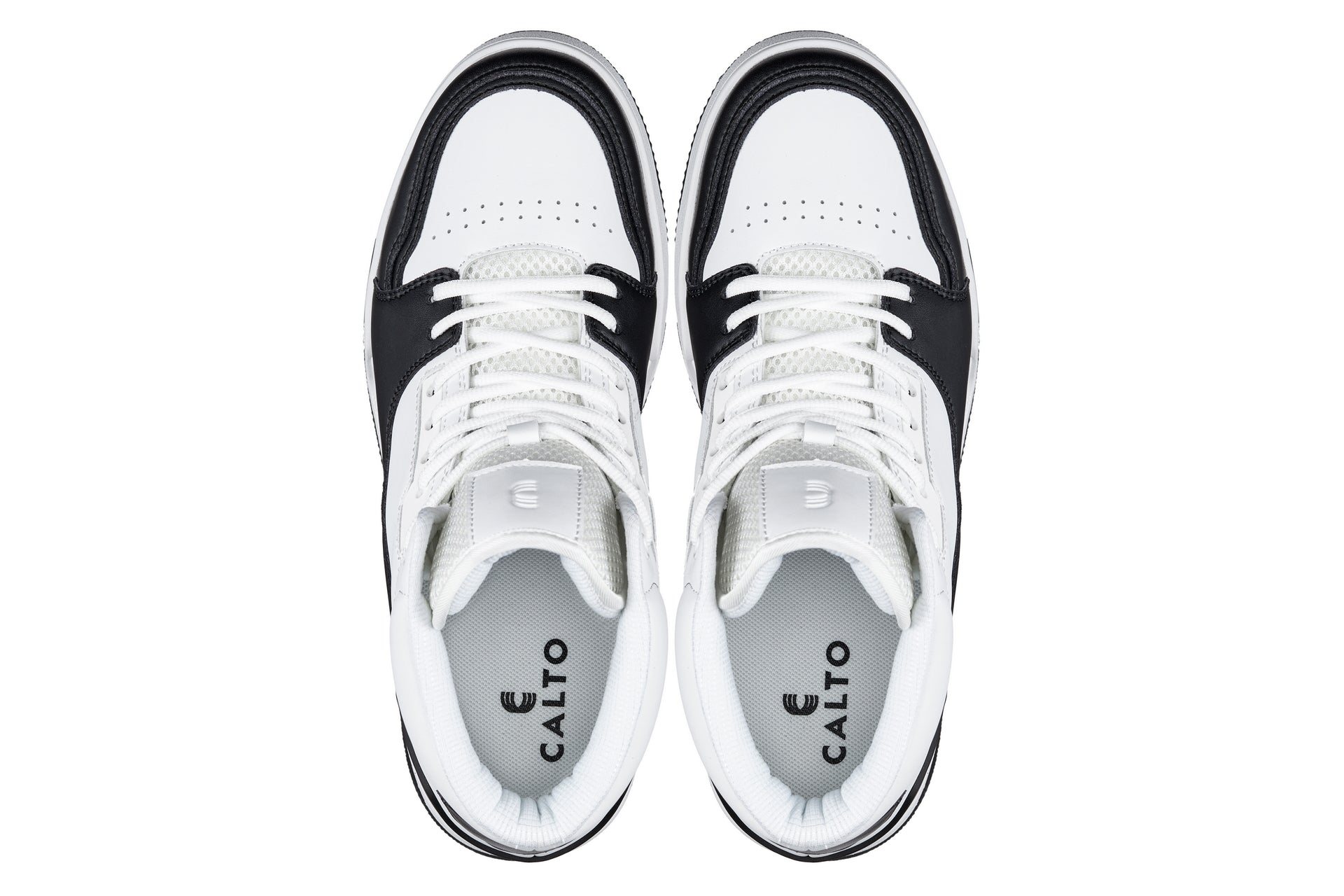 CALTO - S4752 - 3 Inches Taller (White/Black) - High Top Sneakers - WonderingCloth