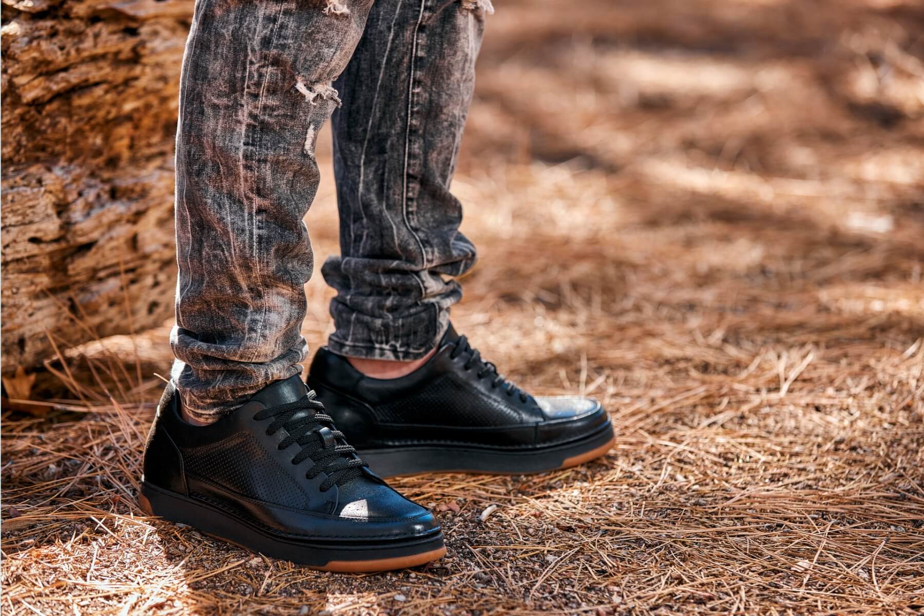 CALTO - Y7931 - 2.6 Inches Taller (Noir/Black & Gum Sole) - Elevated Leather Micro-Perforated Sneakers - WonderingCloth