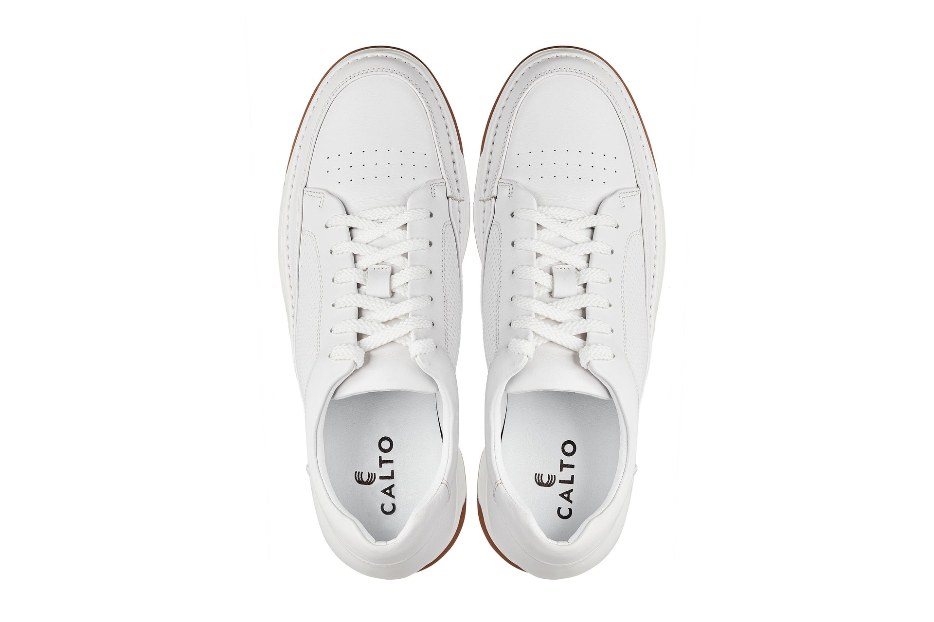 CALTO - Y7932 - 2.6 Inches Taller (White/Off-White & Gum Sole) - Elevated Micro-Perforated Leather Sneakers - WonderingCloth