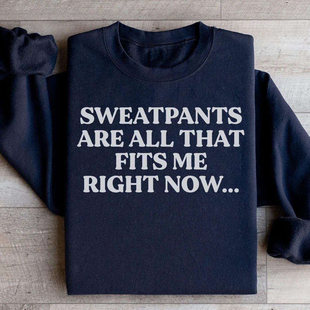 Sweatpants Are All That Fits Me Right Now Sweatshirt - WonderingCloth
