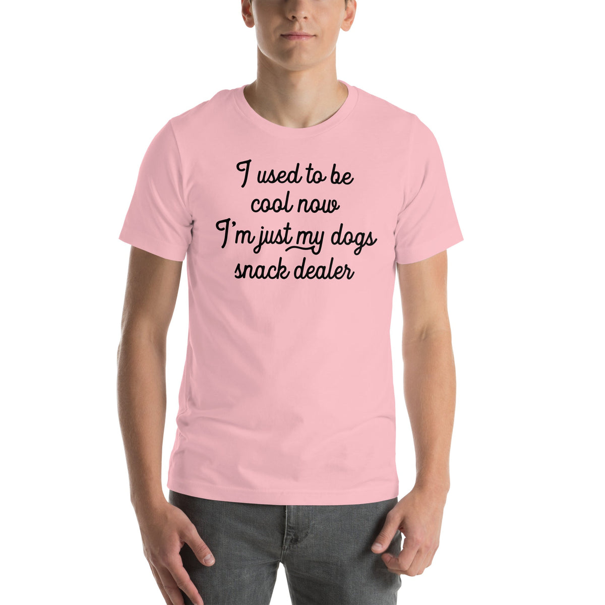 I Used To Be Cool Now I'm Just My Dogs Snack Dealer Tee